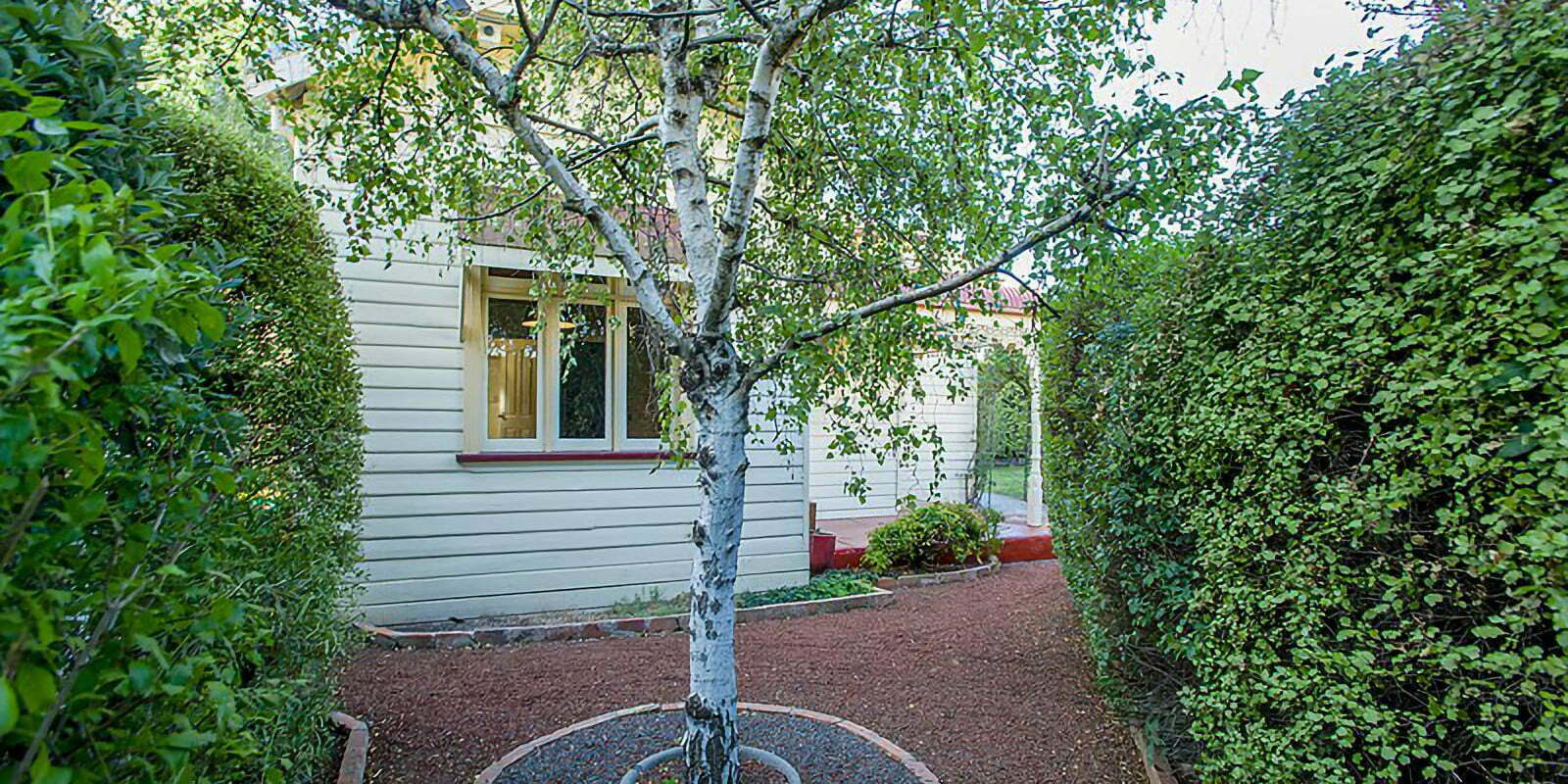 A garden with a tre and a weathereboard house.