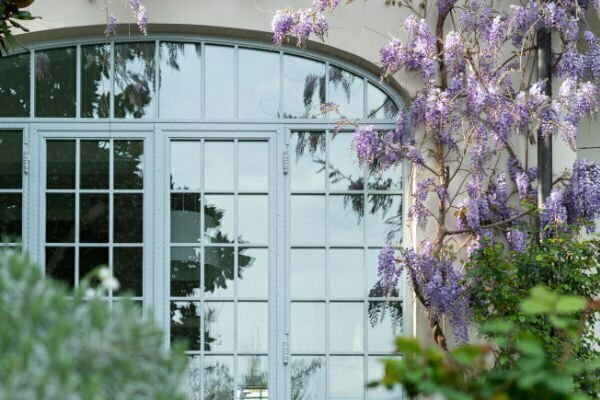 The front of a house with large windows and a Wisteria bush in bloom next to the window.